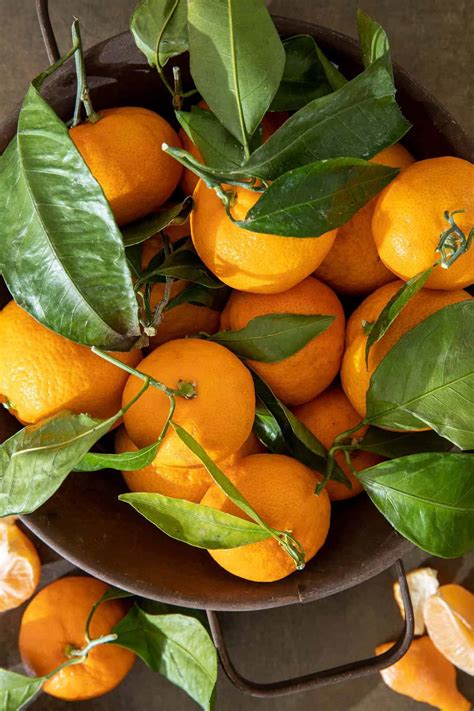 20 best ways to cook with mandarins.